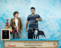 /album/valentina-h-r-barun-sallenrodmelhor-femea-e-jovem-ranking-cbkc-2016/valentina-triangulo-jpg1/